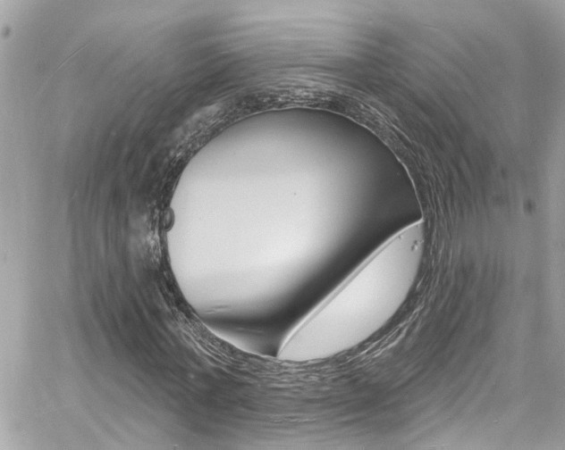 X0000060810771200511101035