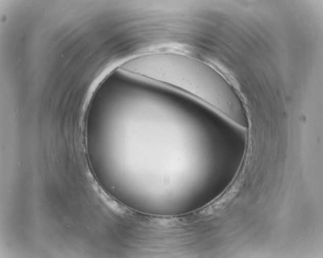 X0000060810816200511101034