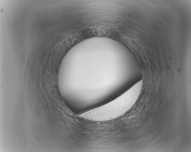 X0000060810865200511101033