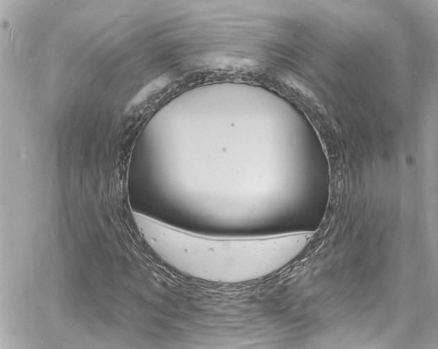 X0000060810869200511101033