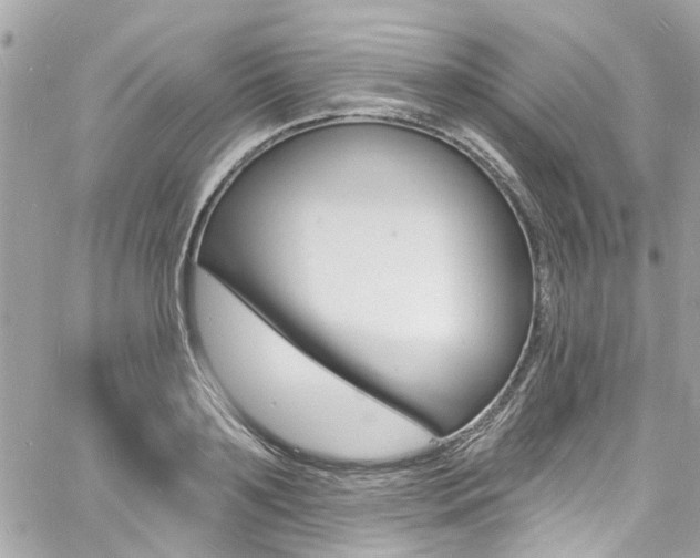 X0000060810891200511101033
