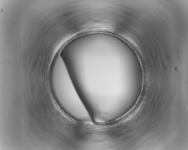 X0000060810933200511101032