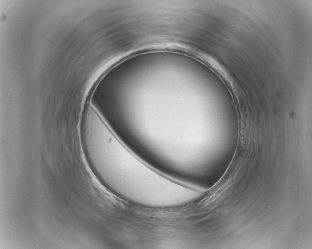 X0000060810951200511101032