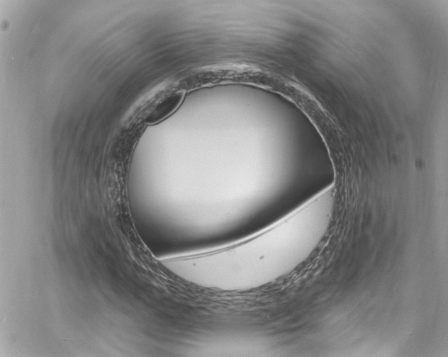 X0000060810967200511101032
