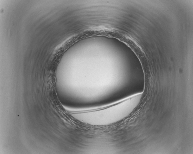 X0000060810968200511101032