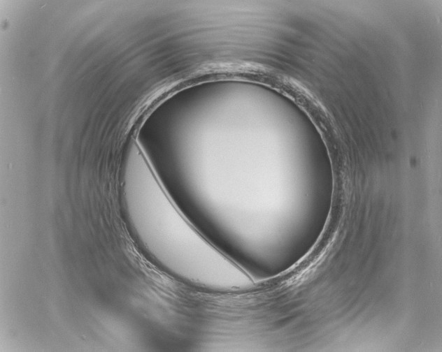X0000060811025200511101031