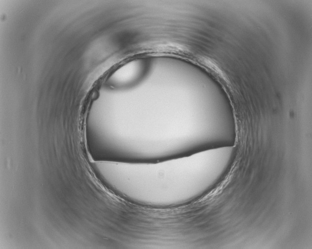 X0000060811071200511101030