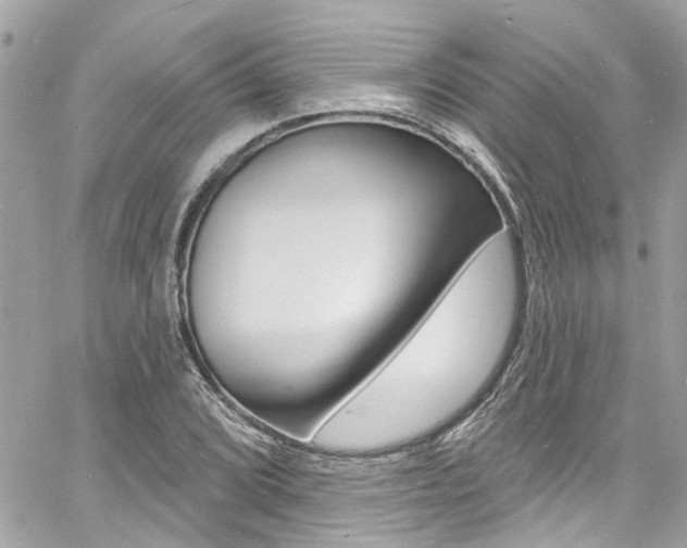 X0000060811072200511101030