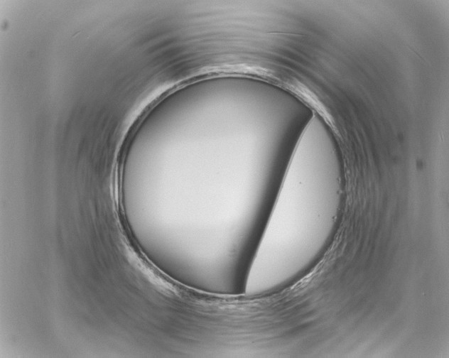 X0000060811084200511101030