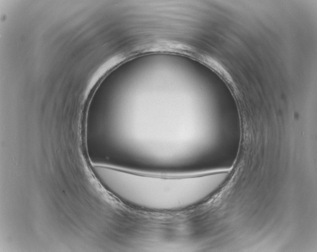 X0000060811138200511101029