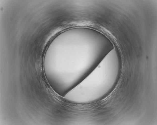X0000060811174200511101028