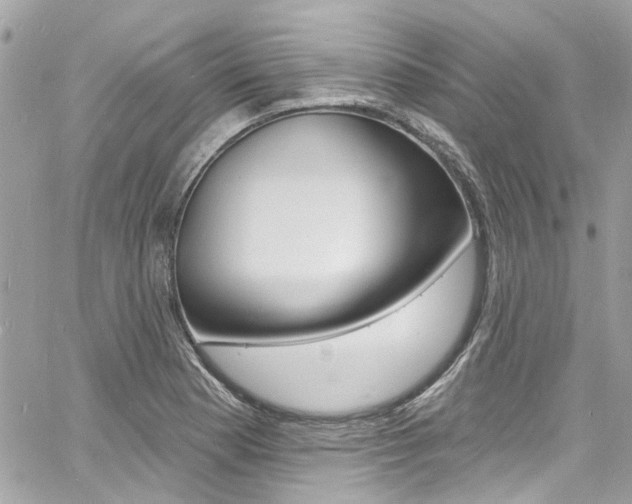X0000060811177200511101028
