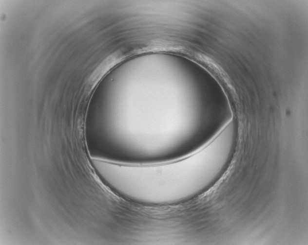 X0000060811185200511101028