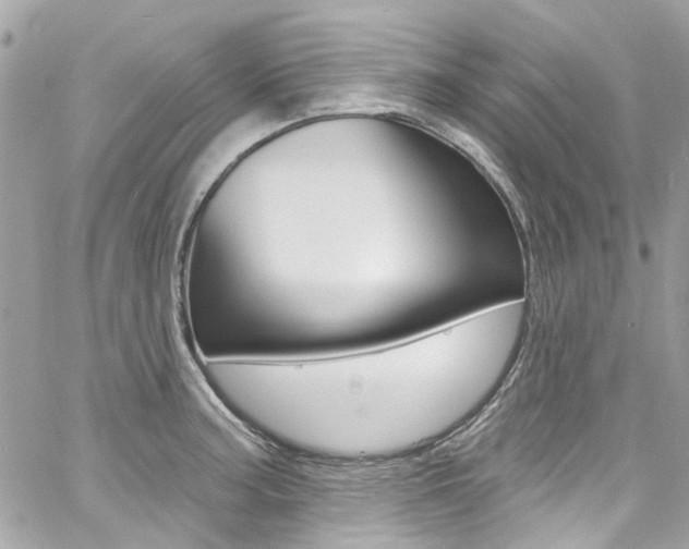 X0000060811187200511101028