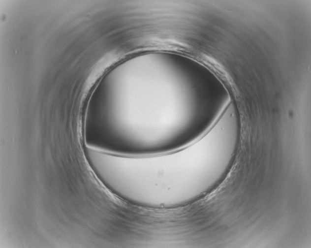X0000060811188200511101028