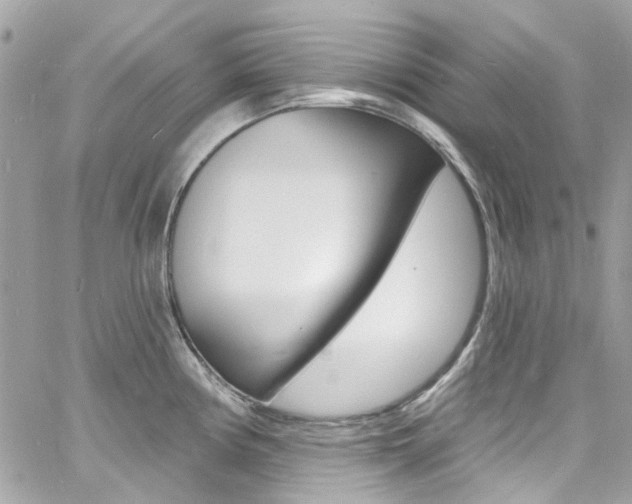 X0000060811194200511101028