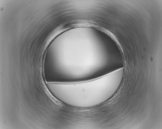 X0000060811195200511101028