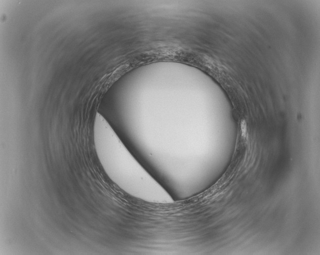 X0000060811203200511101027