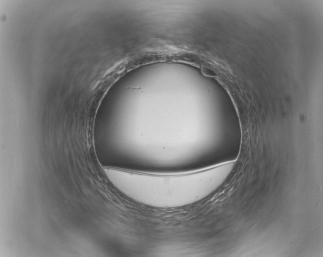 X0000060811205200511101027