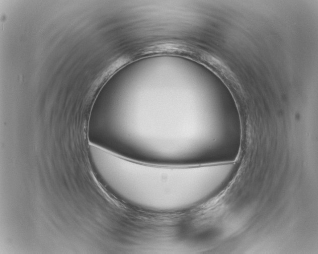 X0000060811233200511101027
