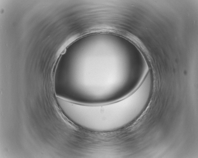 X0000060811242200511101028