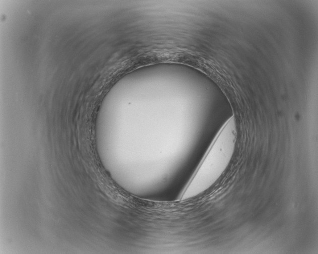 X0000060811249200511101027