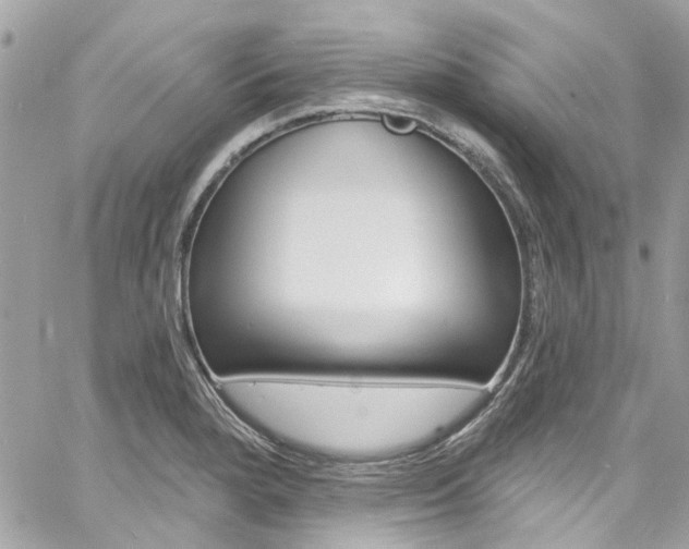 X0000060811280200511101026