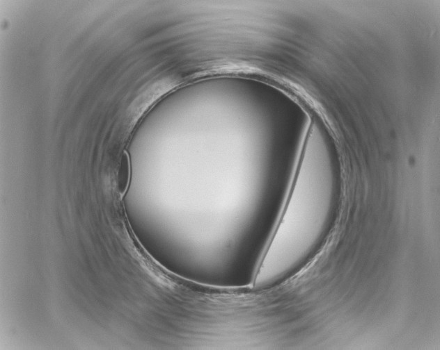 X0000060811281200511101026
