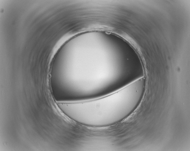 X0000060811296200511101026