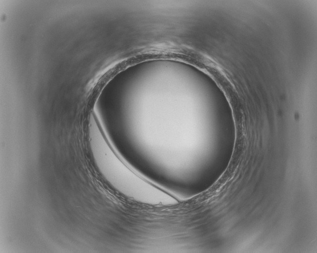 X0000060811304200511101025