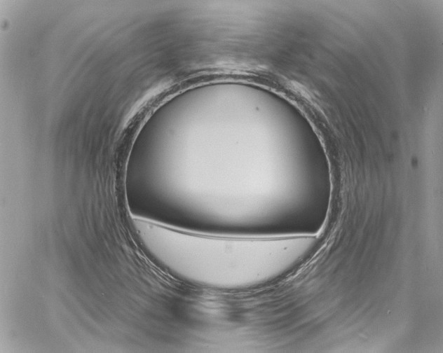 X0000060811307200511101025