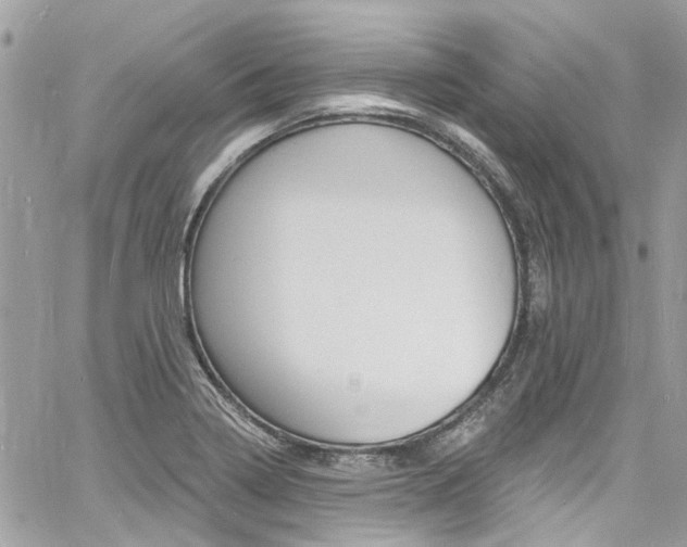 X0000060811322200511101026