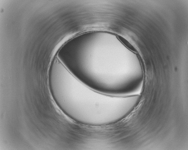 X0000060811341200511101026