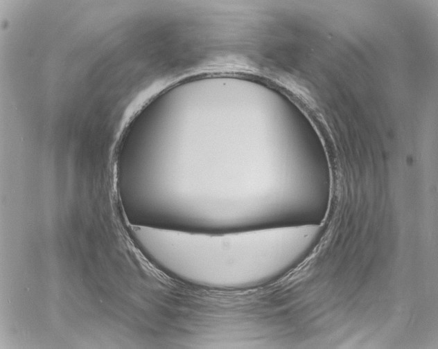 X0000060811366200511101025