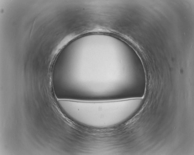 X0000060811367200511101025