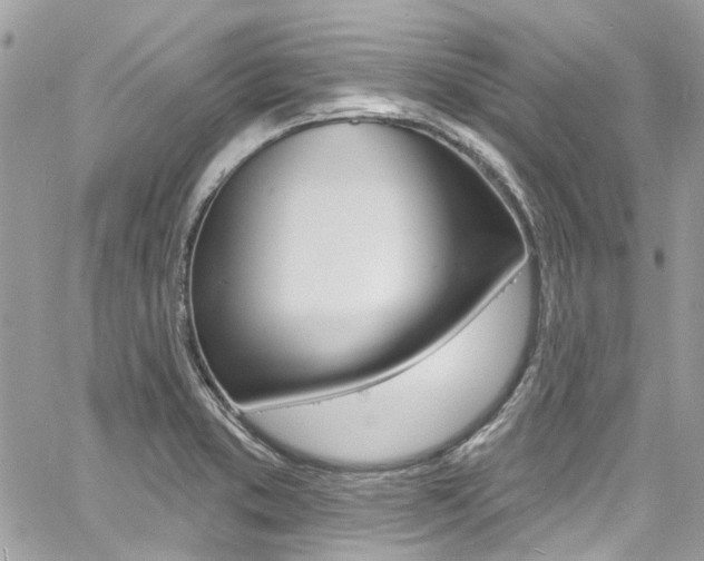X0000060811373200511101025