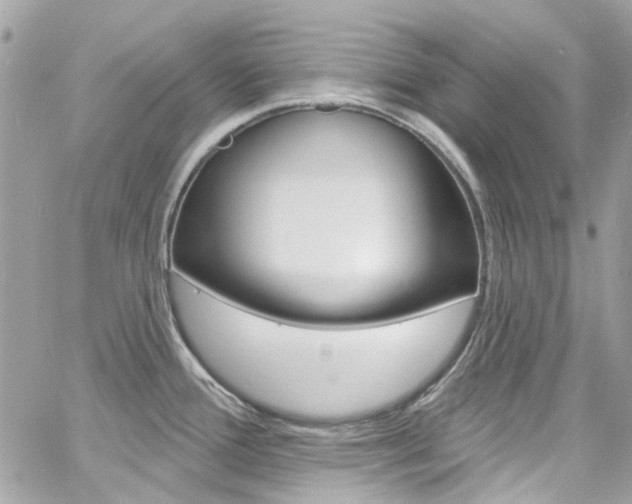 X0000060811388200511101025