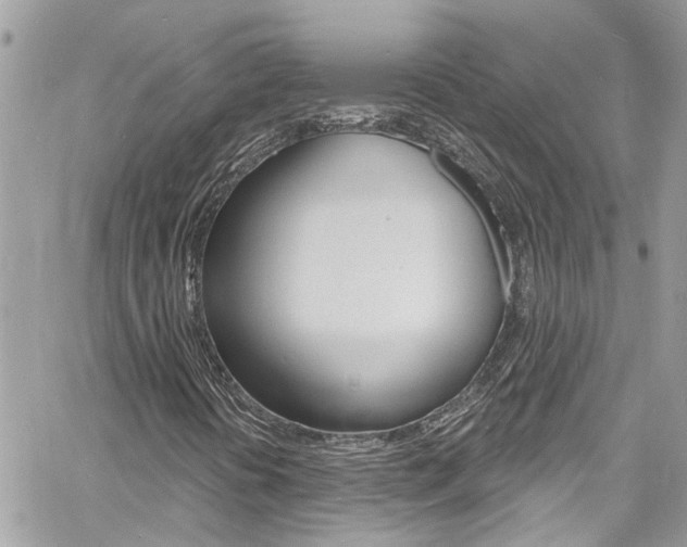 X0000060811394200511101024