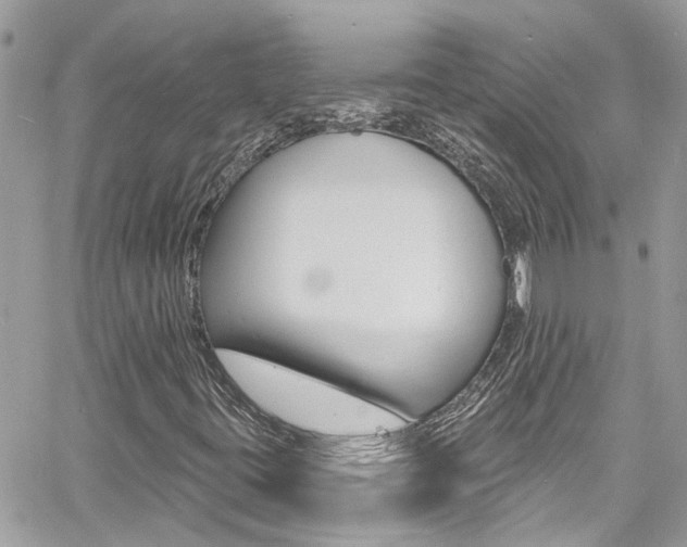 X0000060811395200511101024