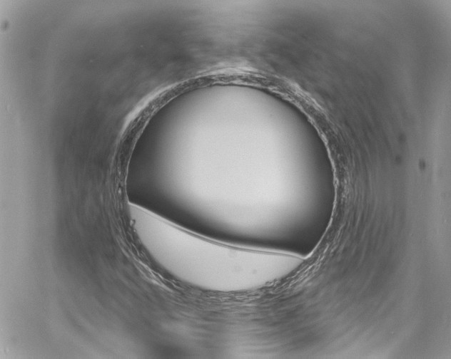 X0000060811400200511101024