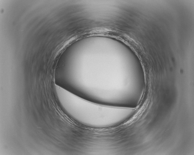 X0000060811401200511101024