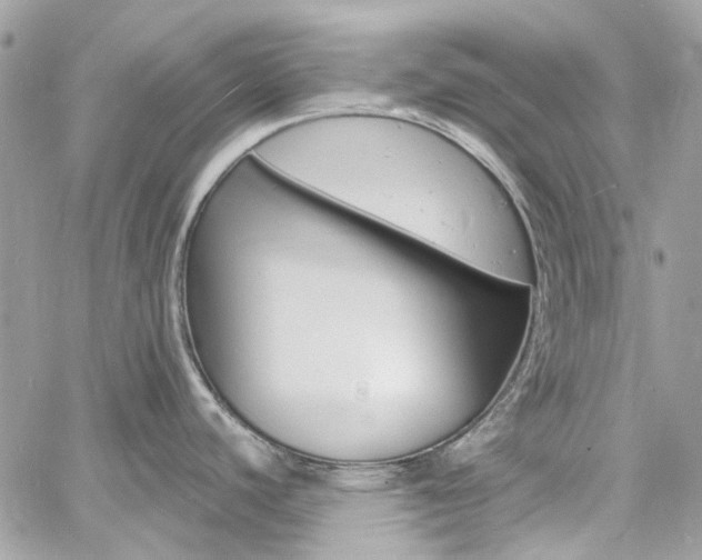 X0000060811440200511101025