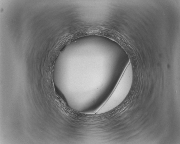 X0000060811441200511101024