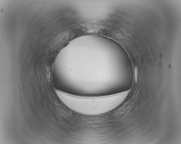 X0000060811443200511101024