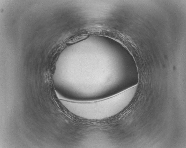 X0000060811445200511101024