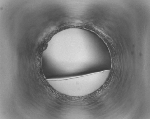 X0000060811447200511101024