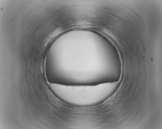 X0000060811451200511101024