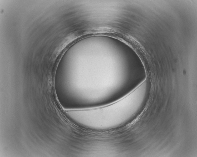 X0000060811457200511101023