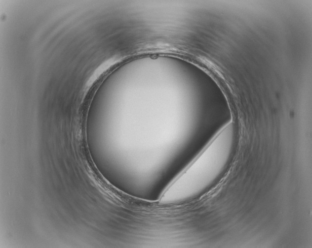 X0000060811458200511101023