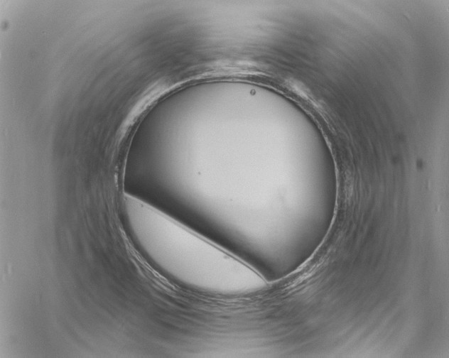 X0000060811459200511101023